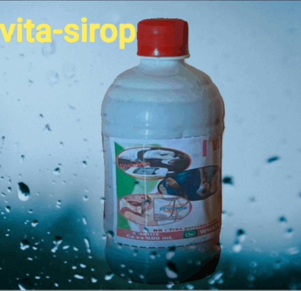 VITA-SOROP – Image 4